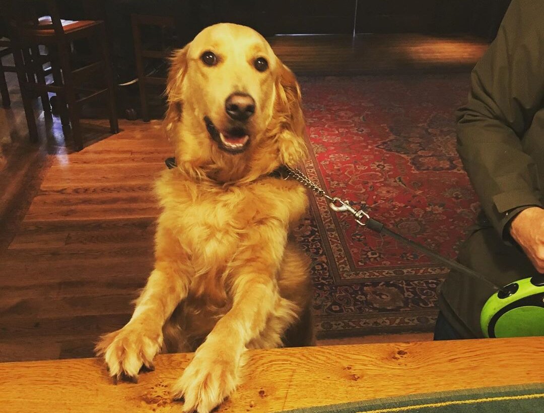 12 dog-friendly restaurants in Manchester taking part in &#8216;Eat Out to Help Out&#8217; this month, The Manc