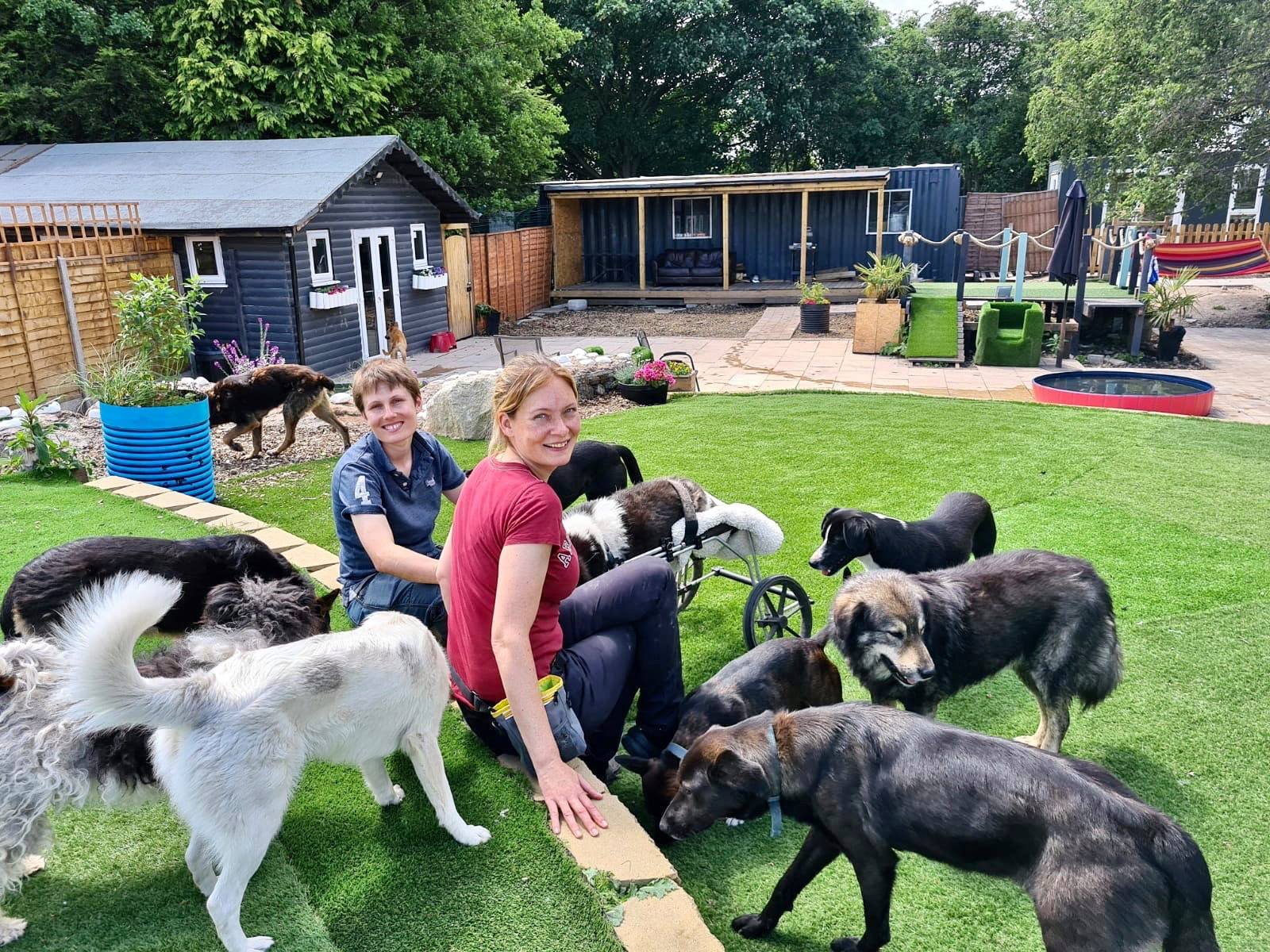Dogs4Rescue needs your help to build new home for unwanted pooches, The Manc