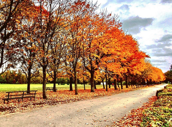 The best place to go for a walk in each Greater Manchester borough this autumn, The Manc