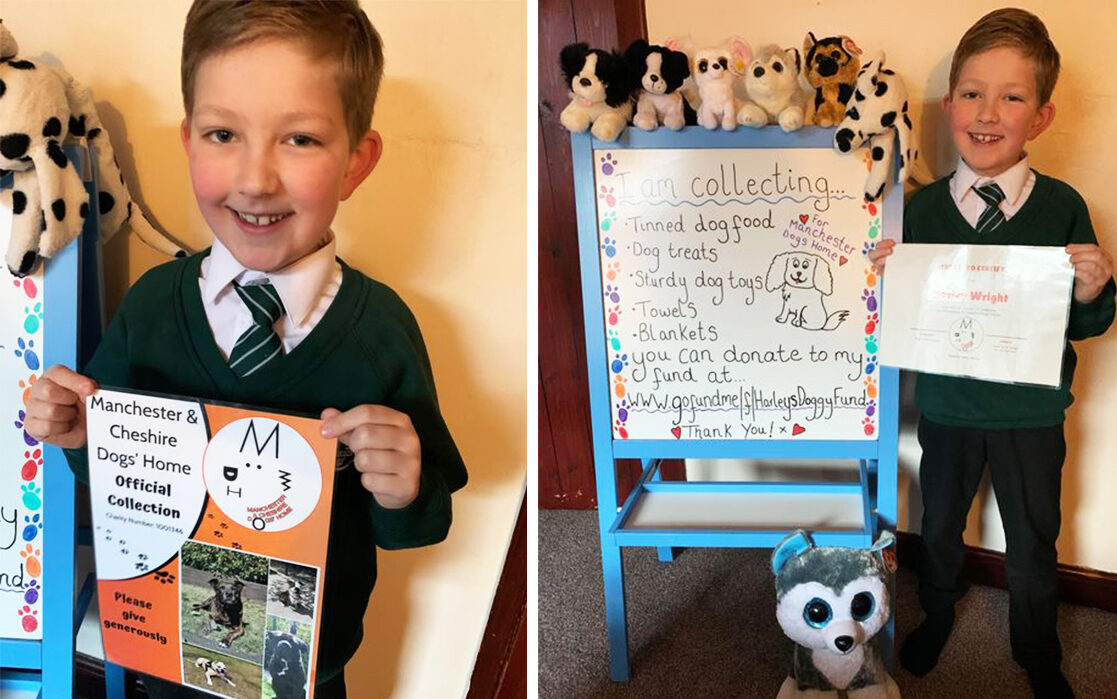Stockport boy raises over £470 to feed pups at Manchester Dogs&#8217; Home this Christmas, The Manc
