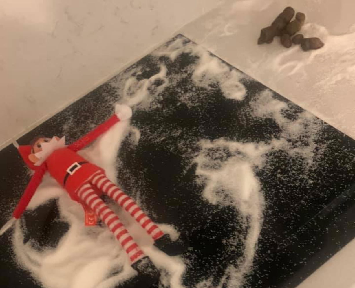 Mum left &#8216;fuming&#8217; after cat mistakes a snowy Elf on the Shelf prank for a litter tray, The Manc
