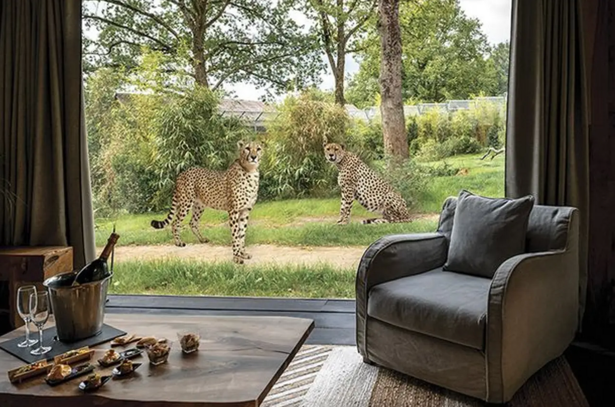 Much-anticipated luxury lodges set to open at UK safari park in April, The Manc