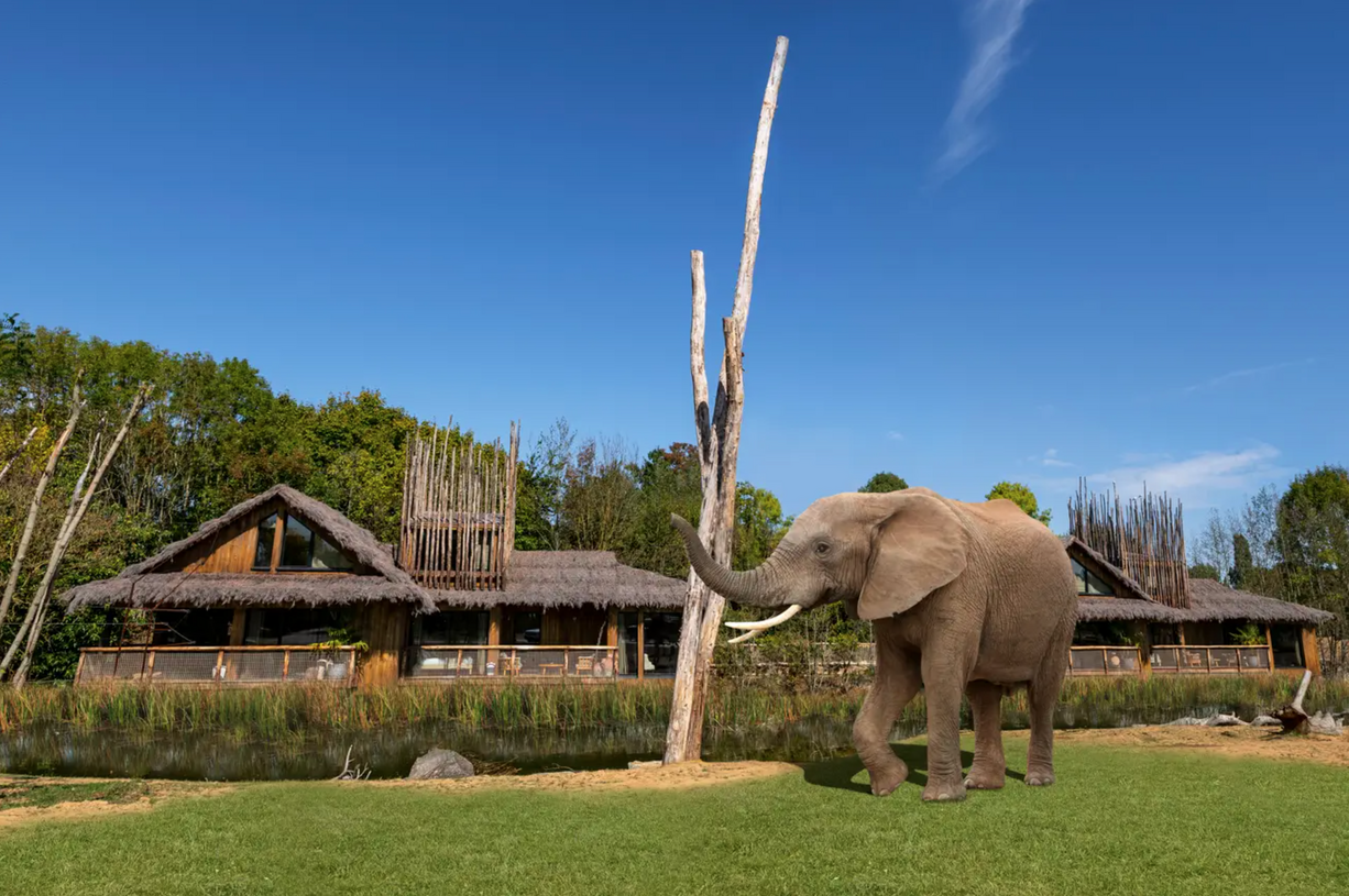 Much-anticipated luxury lodges set to open at UK safari park in April, The Manc