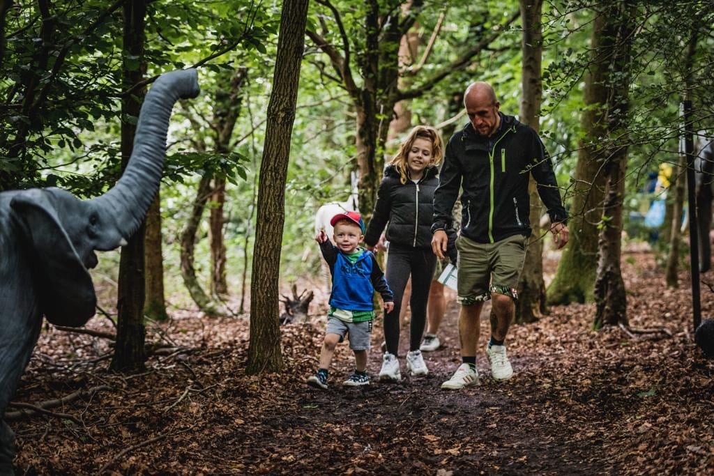 Family adventure park Totally Roarsome opens this weekend