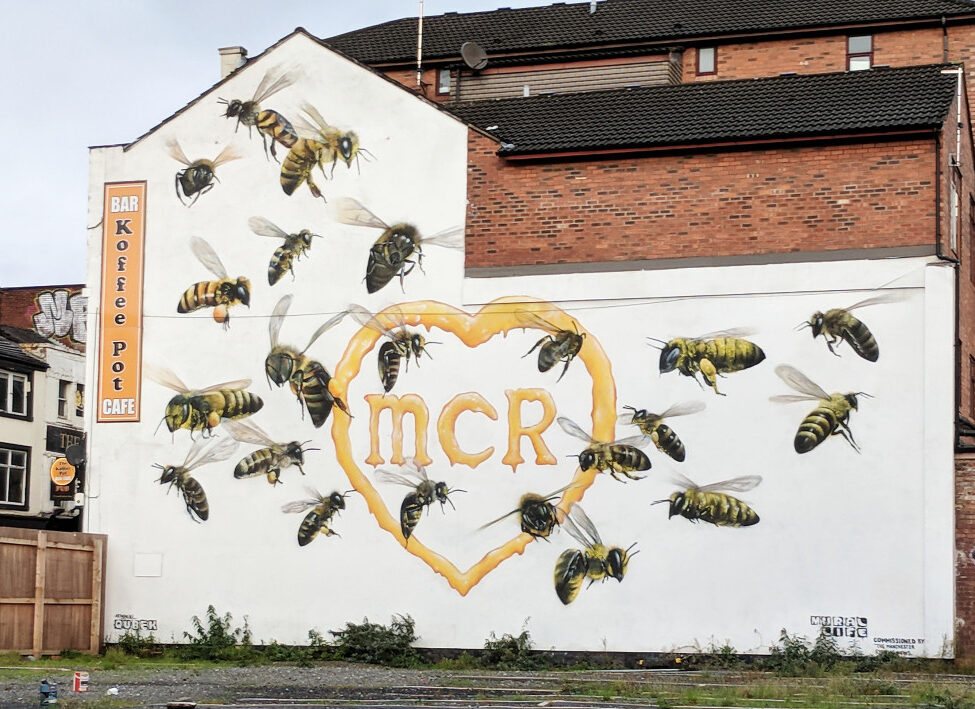 What does the word &#8216;Manchester&#8217; actually mean?, The Manc