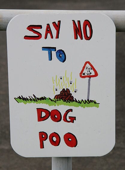 The number of dog poo littering acts has risen by 200% since lockdown, The Manc