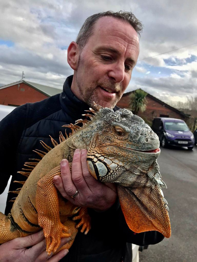 This miracle iguana has baffled vets and shocked his owners by coming &#8216;back from the dead&#8217;, The Manc