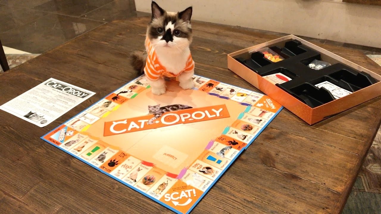 You can now buy a cat themed version of Monopoly The Manc