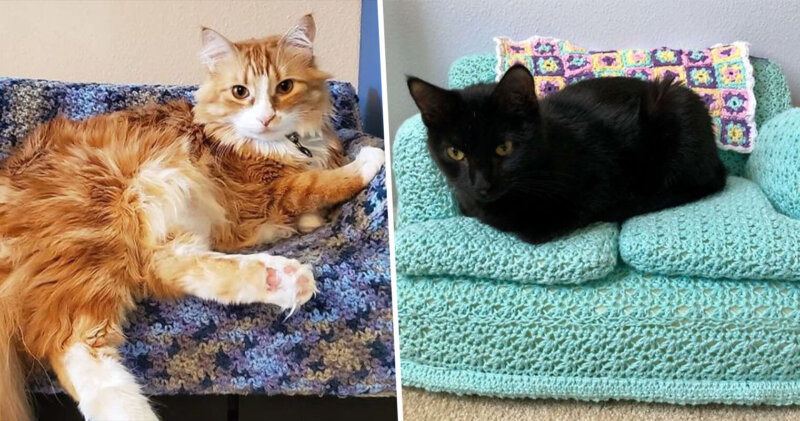People are crocheting little couches for their cats during lockdown, The Manc