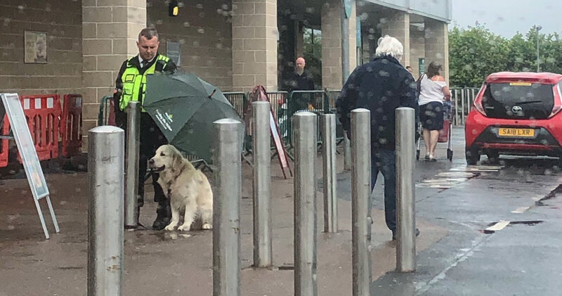 Morrisons security guard who kept dog dry during rainfall is a national hero, The Manc