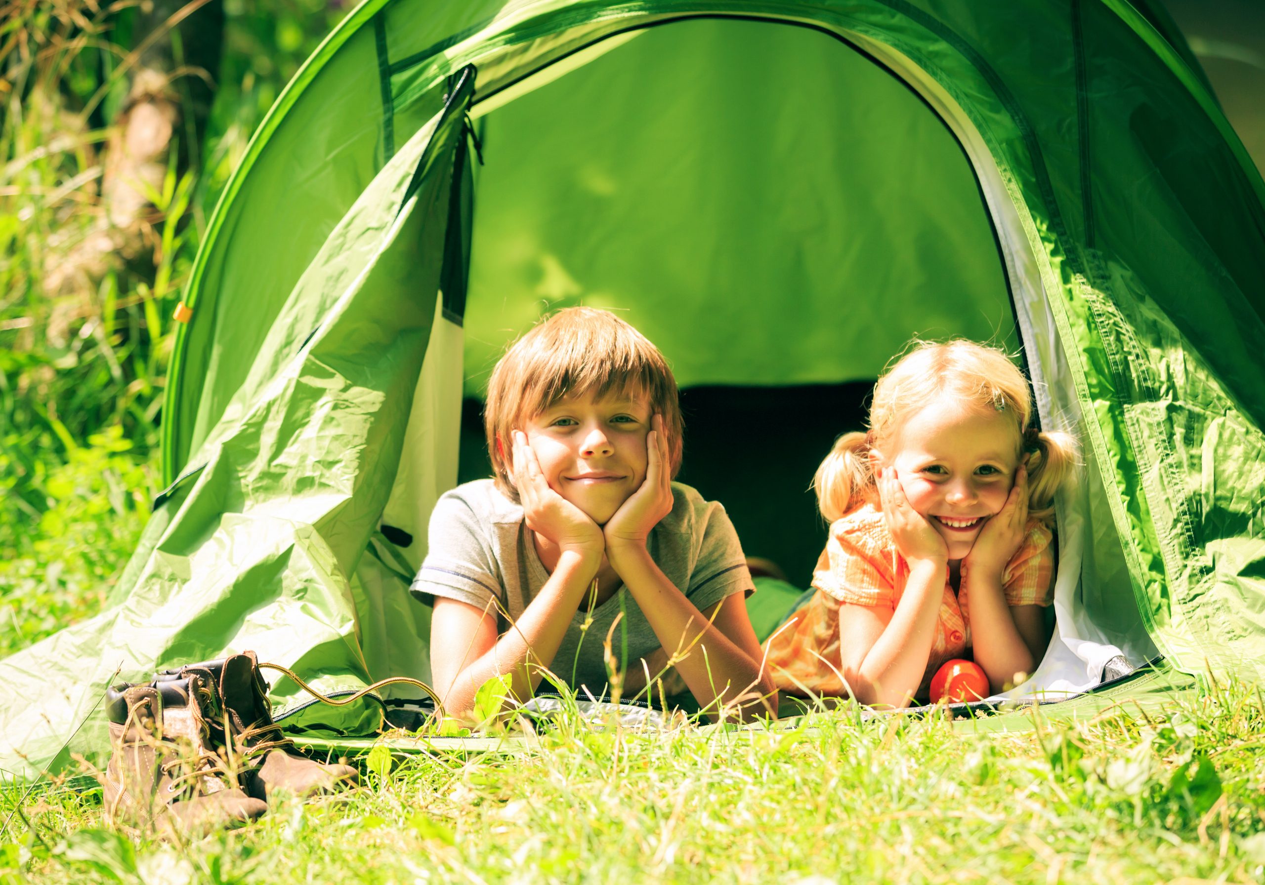 You can camp next to the lions at Yorkshire Wildlife Park from just £50 ...