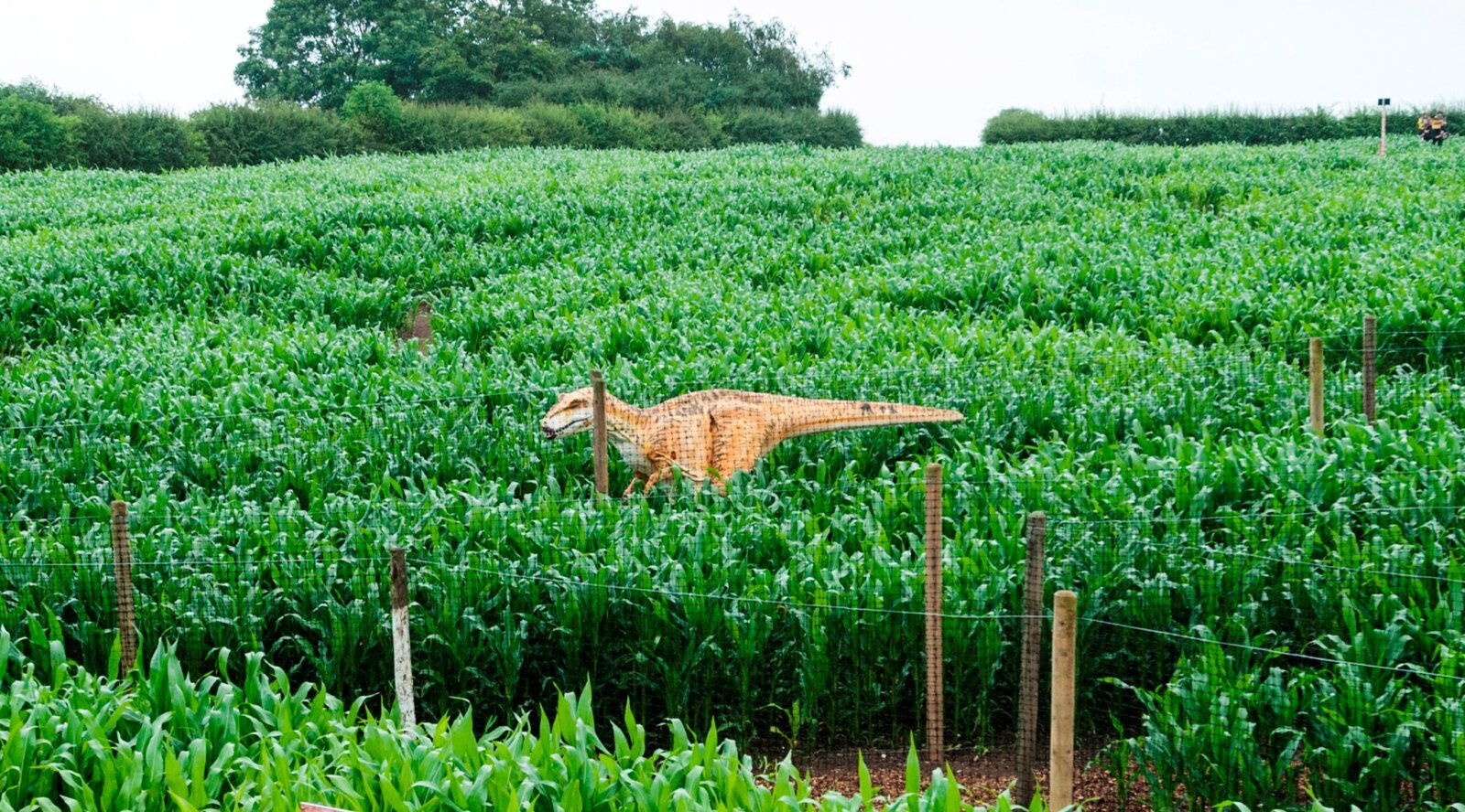There&#8217;s a dinosaur maze opening just over an hour from Manchester, The Manc
