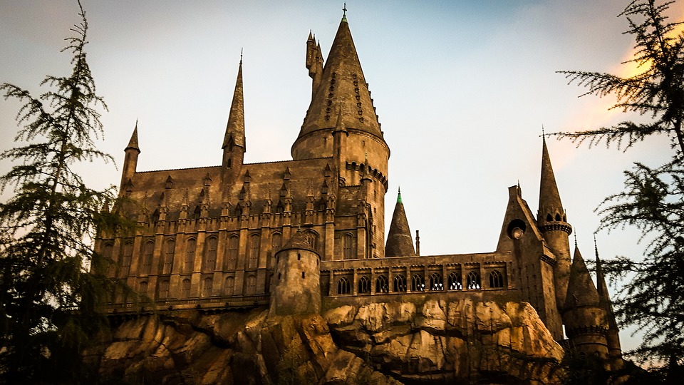 A Harry Potter Open World role-play game is &#8216;coming next year&#8217;, The Manc