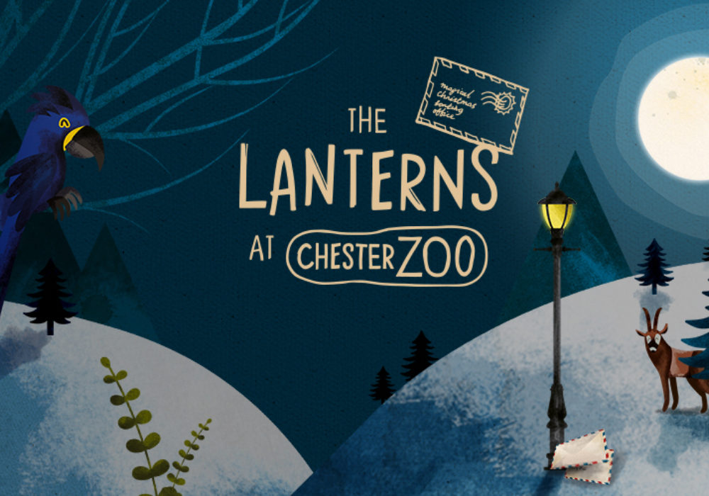 Chester Zoo&#8217;s Lantern Festival returns this year and you can grab tickets now, The Manc