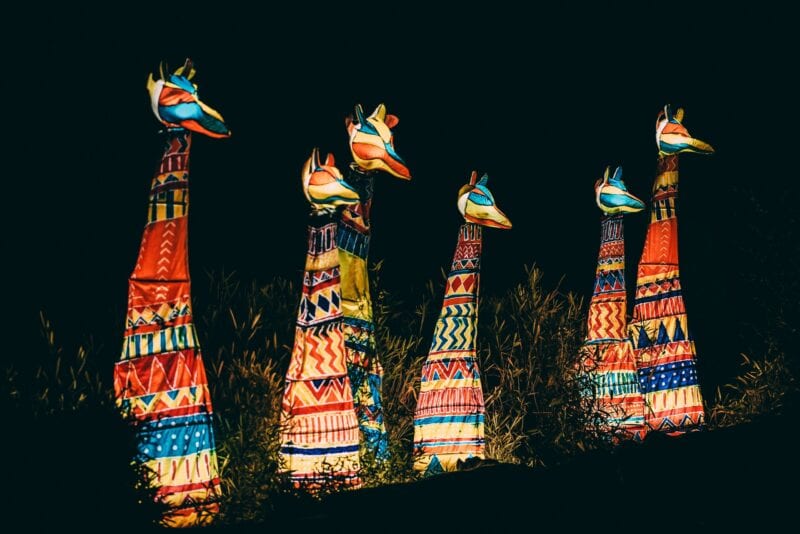 Chester Zoo&#8217;s Lantern Festival returns this year and you can grab tickets now, The Manc