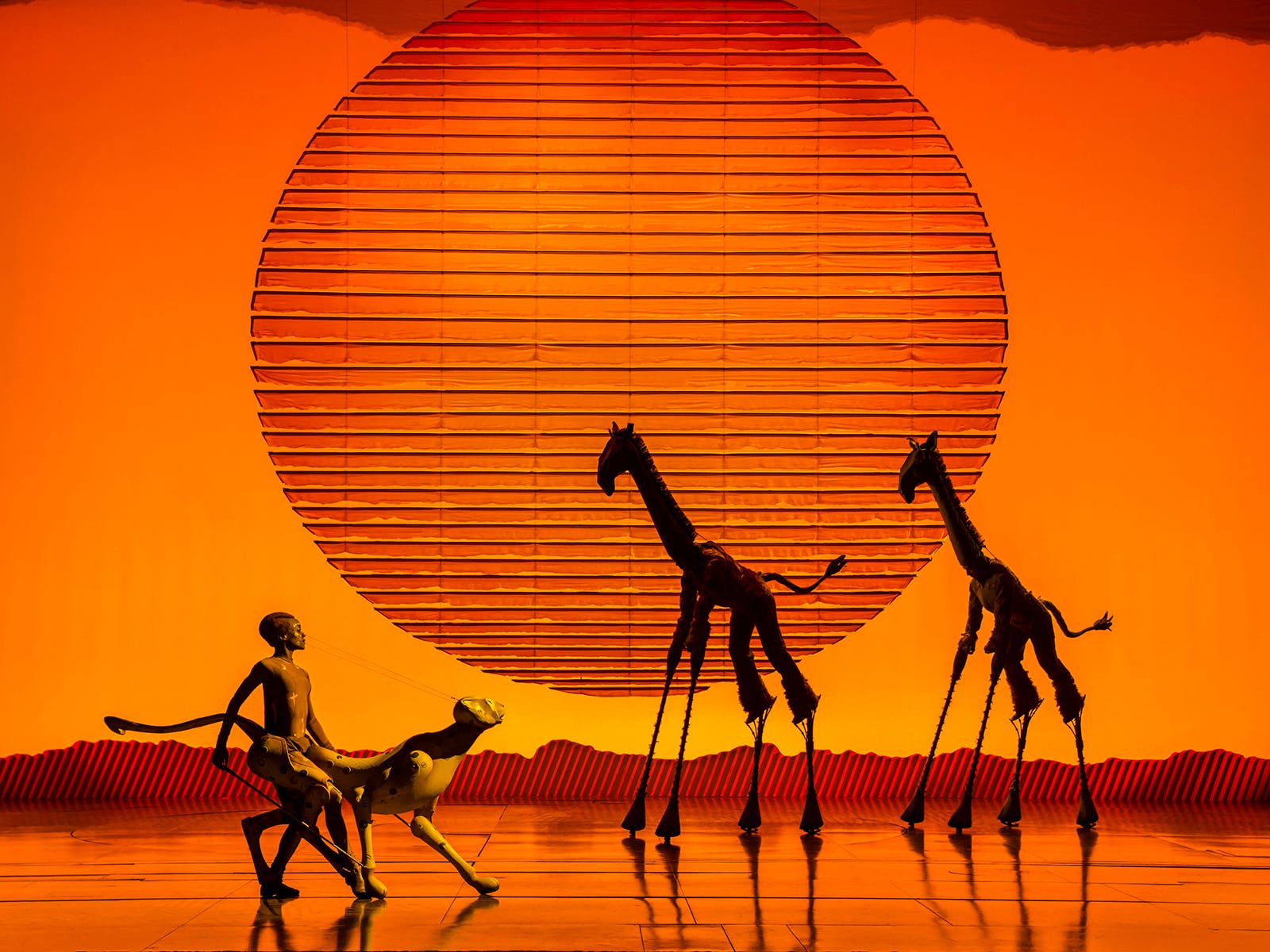 The Lion King at Manchester&#8217;s Palace Theatre has been postponed, The Manc