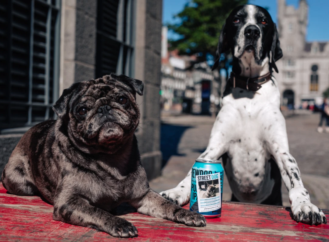 BrewDog launches &#8216;Street Dog IPA&#8217; to help find families for homeless dogs, The Manc
