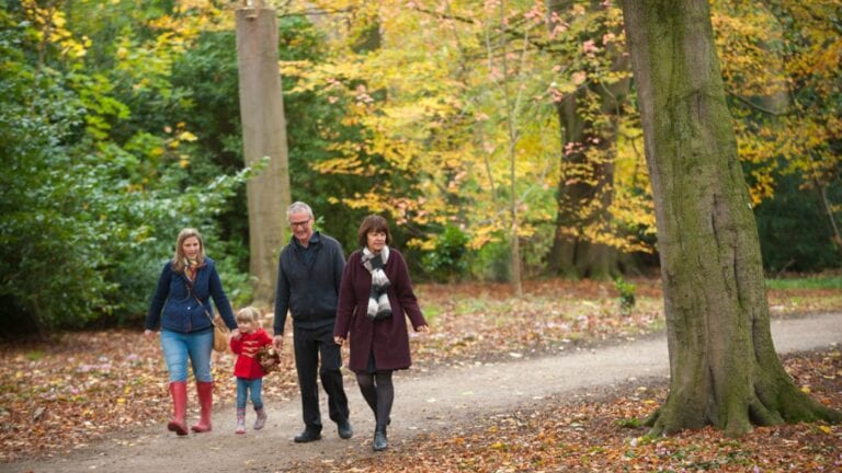 The best place to go for a walk in each Greater Manchester borough this ...