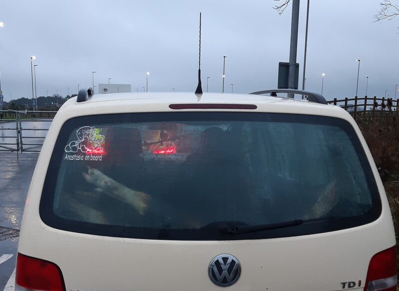 Police stop car on M62 after spotting a dead pig&#8217;s leg in the back window, The Manc