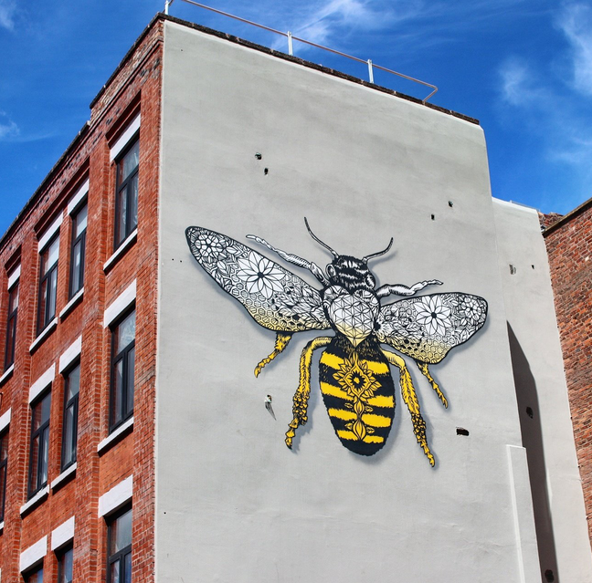 The UK government has approved bee-killing pesticides &#8211; but Mancunians can help reverse this, The Manc