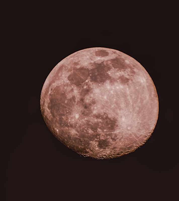 &#8216;Pink supermoon&#8217; to appear in Manchester skies this week, The Manc