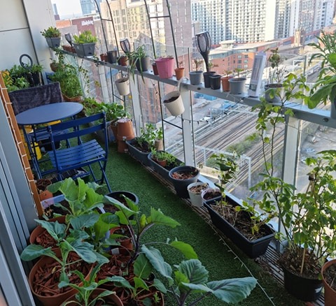 The Cloud Gardener: How one man&#8217;s sky-high horticulture is turning heads across the world, The Manc
