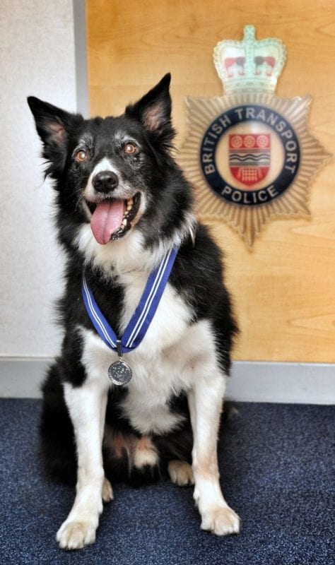 Manchester Arena police dog who was awarded animal OBE passes away three years after retirement, The Manc