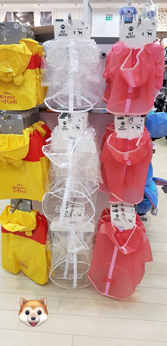 Primark is now selling raincoats for dogs – perfect for Manchester weather, The Manc