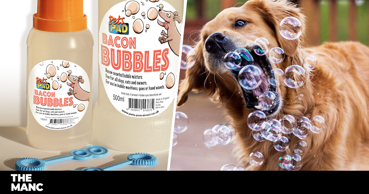 are bubbles bad for dogs