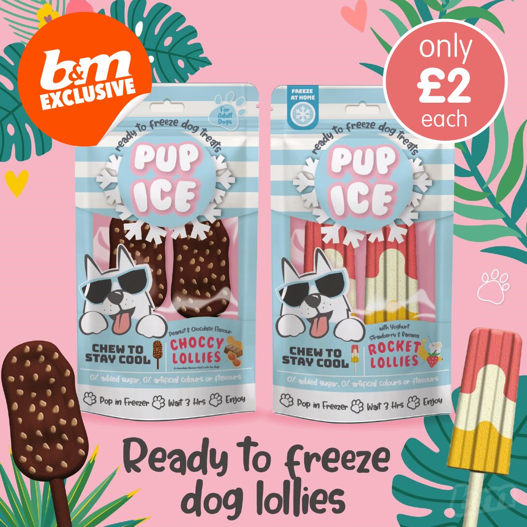 B&M is selling ice lollies for dogs | The Manc