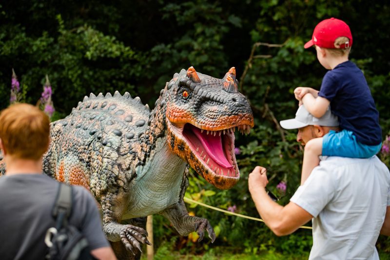 You can get 25% off tickets for the last week of Dino Kingdom in Manchester, The Manc