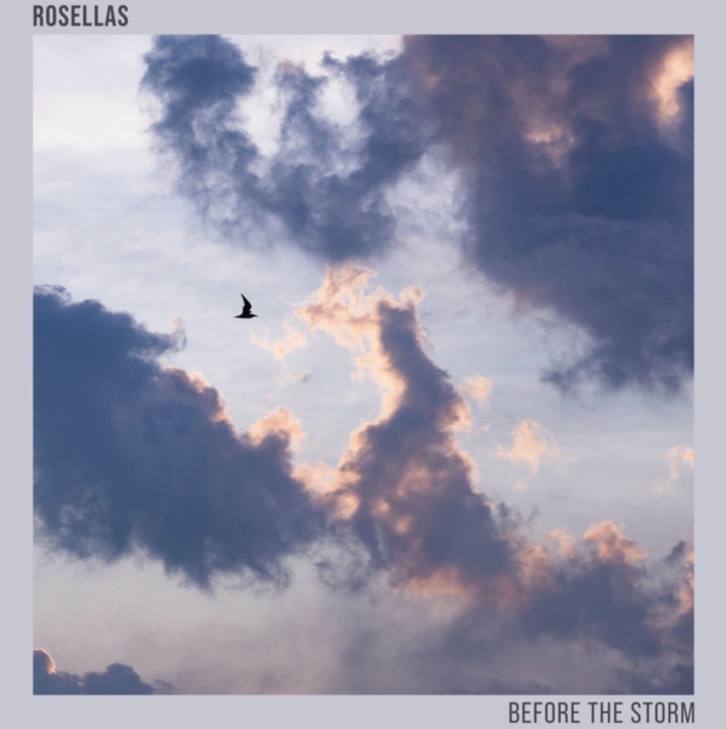 Rosellas' single artwork shows clouds with a pink lining with the silhouette of a bird flying past.