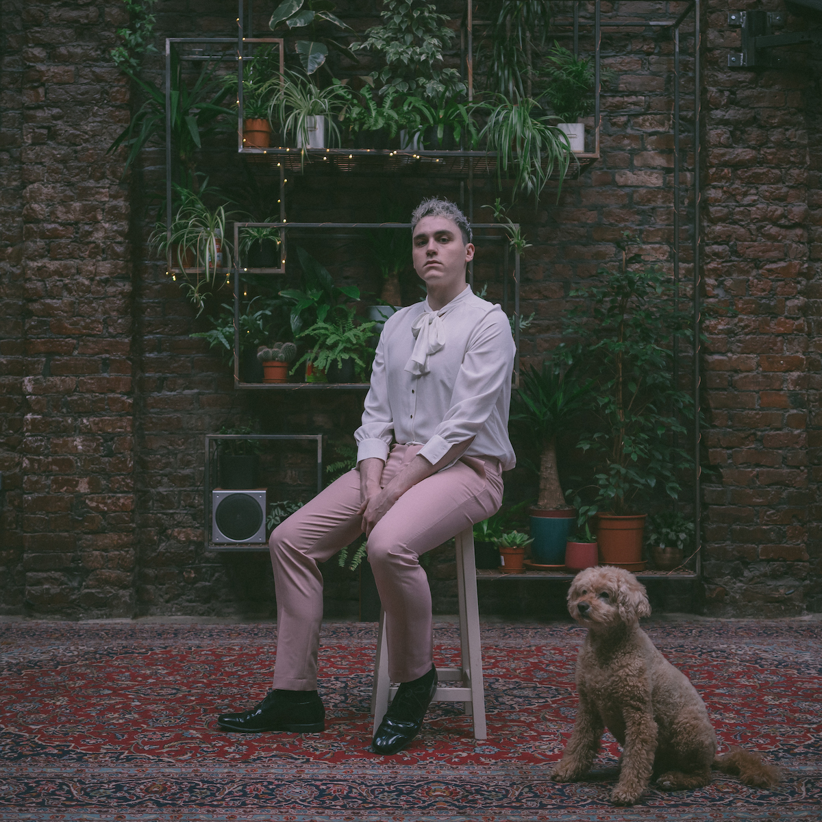 Patrick sits on a white stool, wearing pink trousers and white shirt. A dog sits along side him to his left. Plants sit on shelves on a wall behind them. 