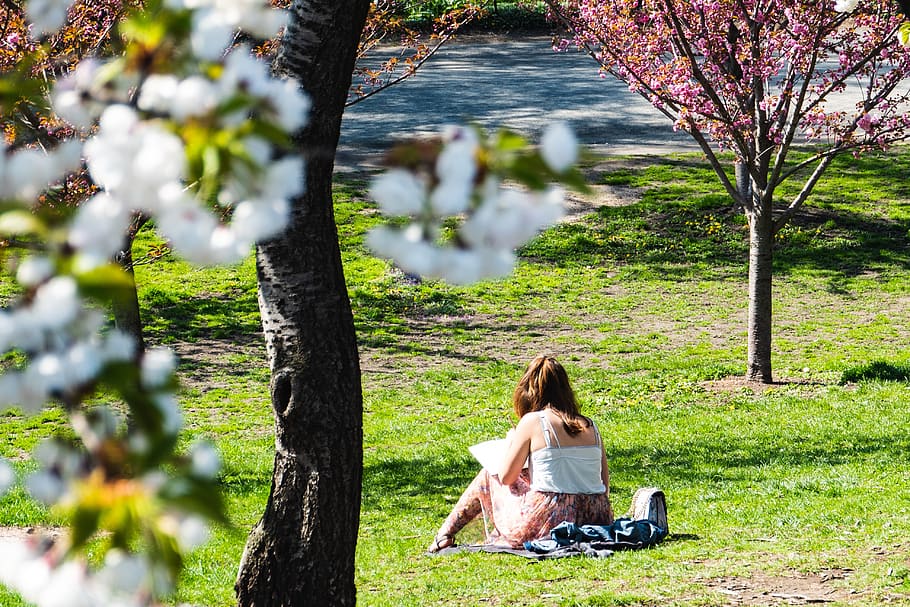 When is the August heatwave coming, and how hot will it be?, The Manc