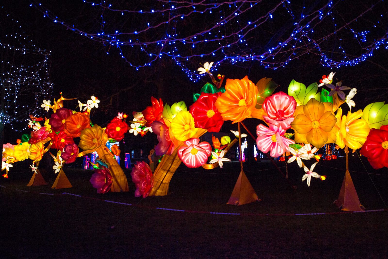 Lightopia returns to Heaton Park this Christmas with new festive &#8216;fantasy&#8217; installations, The Manc