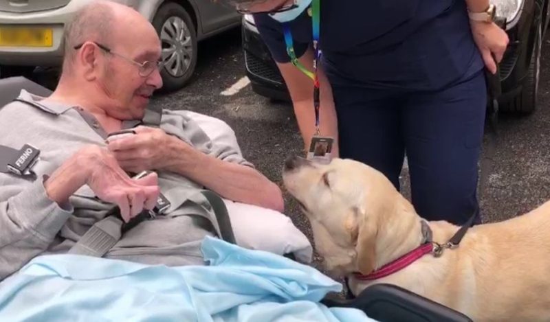 Manchester care home resident reunited with his beloved dog after two years, The Manc