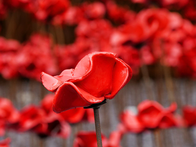 First World War poppies to go on permanent display in Manchester, The Manc