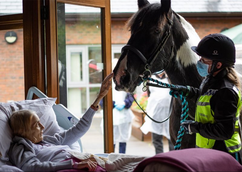 Local hospice arranges for terminally ill patient to say goodbye to her horse and pet dogs, The Manc