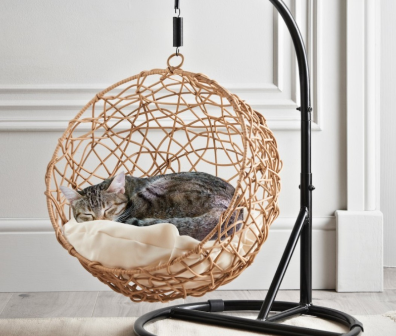 B&#038;M is selling a hanging egg chair for cats &#8211; and it&#8217;s only £55, The Manc