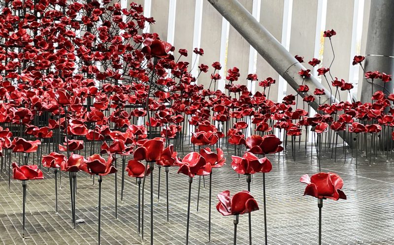 Breathtaking Tower of London poppies sculpture officially unveiled in Manchester, The Manc