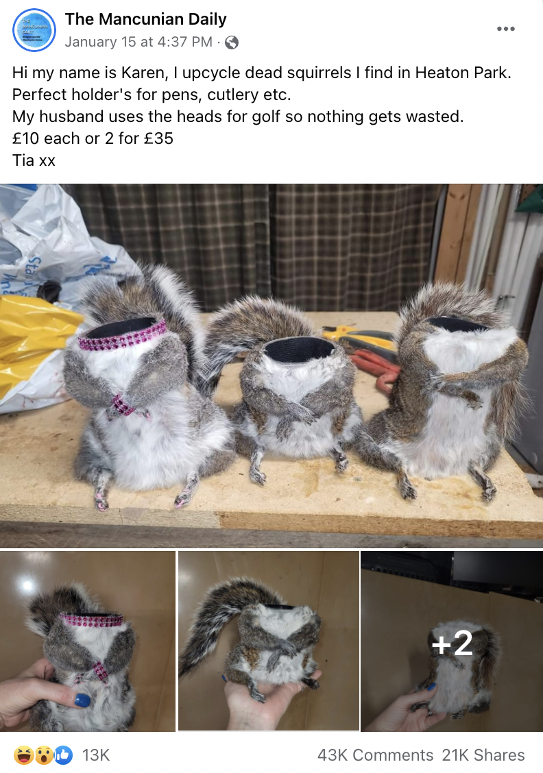 Two Manchester sisters are turning dead squirrels from Heaton Park into stationery holders, The Manc