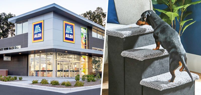 Aldi is selling pet steps for £5.99 so little dogs can climb onto sofas or beds, The Manc