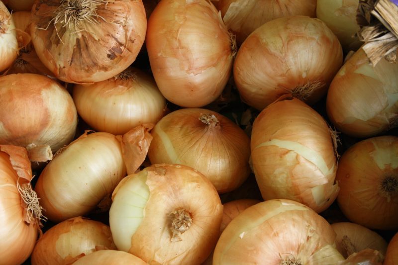 The first ever &#8216;tearless&#8217; onions are to be sold in UK supermarkets, The Manc