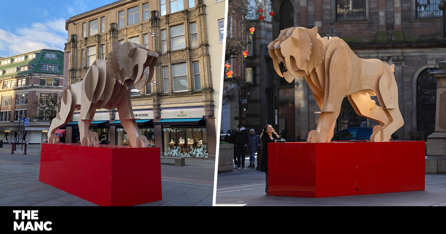 A giant tiger sculpture has appeared in Manchester city centre