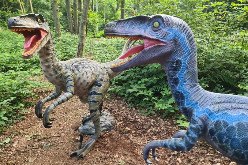 Popular dinosaur trail Totally Roarsome has reopened near Manchester for half term, The Manc