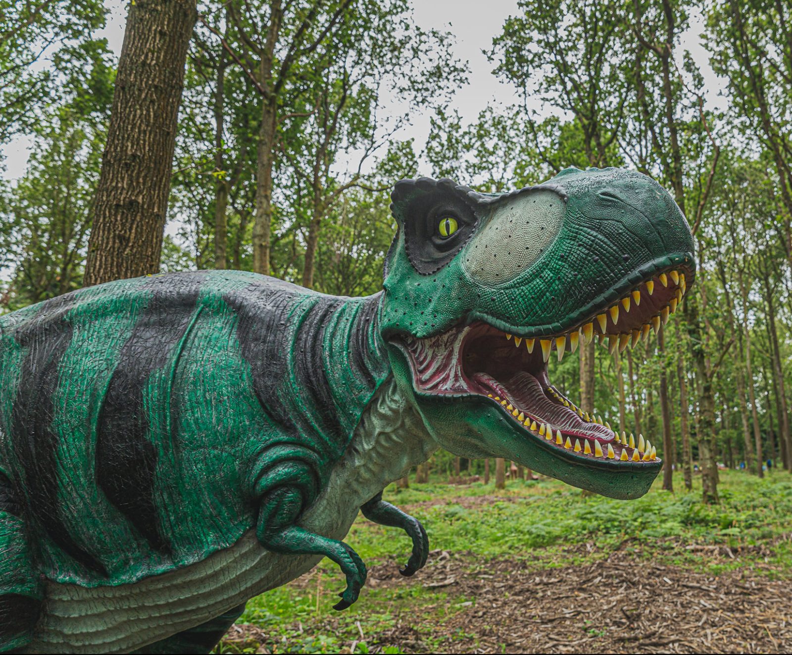 Popular Cheshire dinosaur trail Totally Roarsome extends its run throughout Easter holidays, The Manc