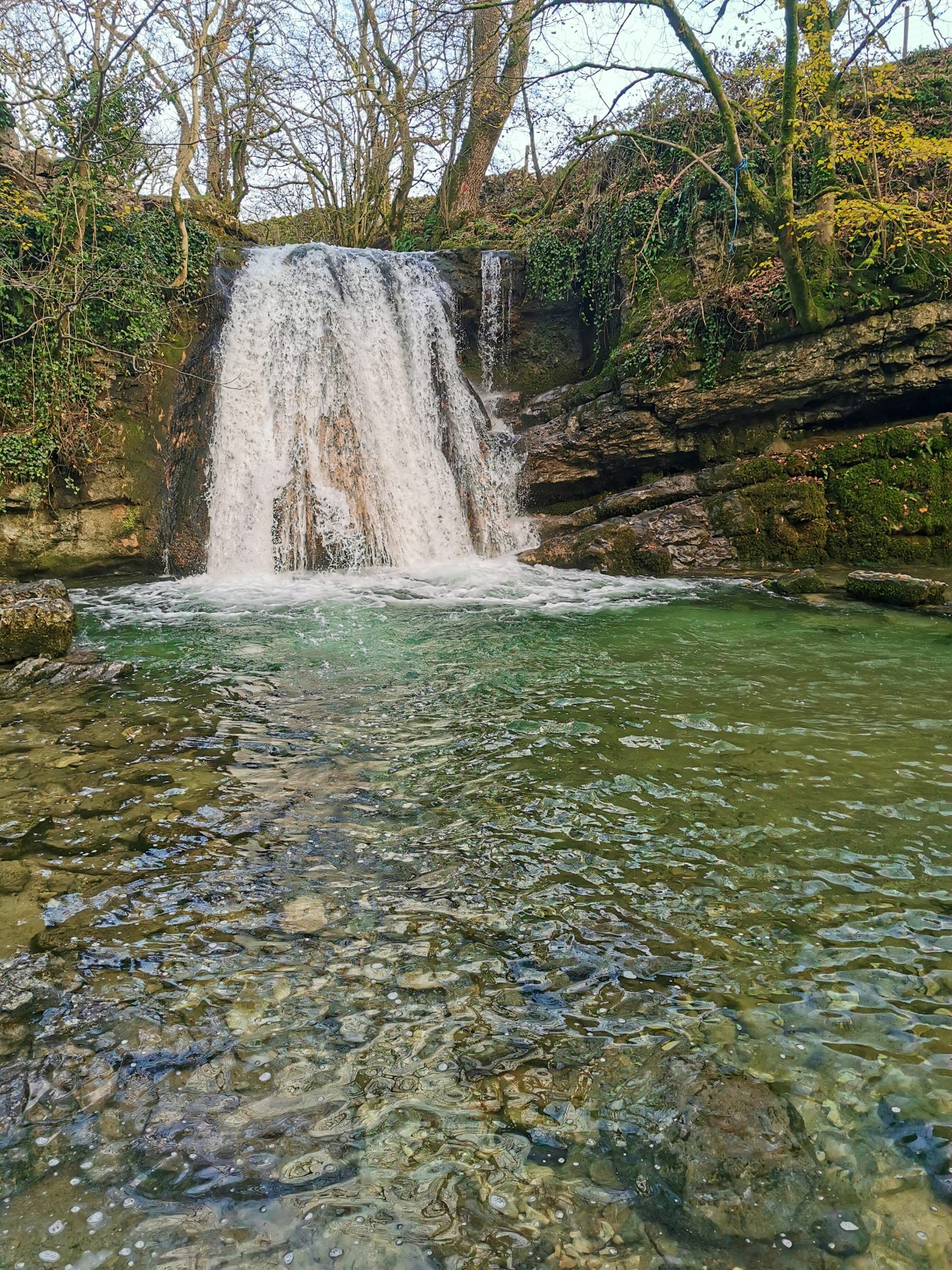 The Most Dog friendly Waterfall Walks Near Manchester Named