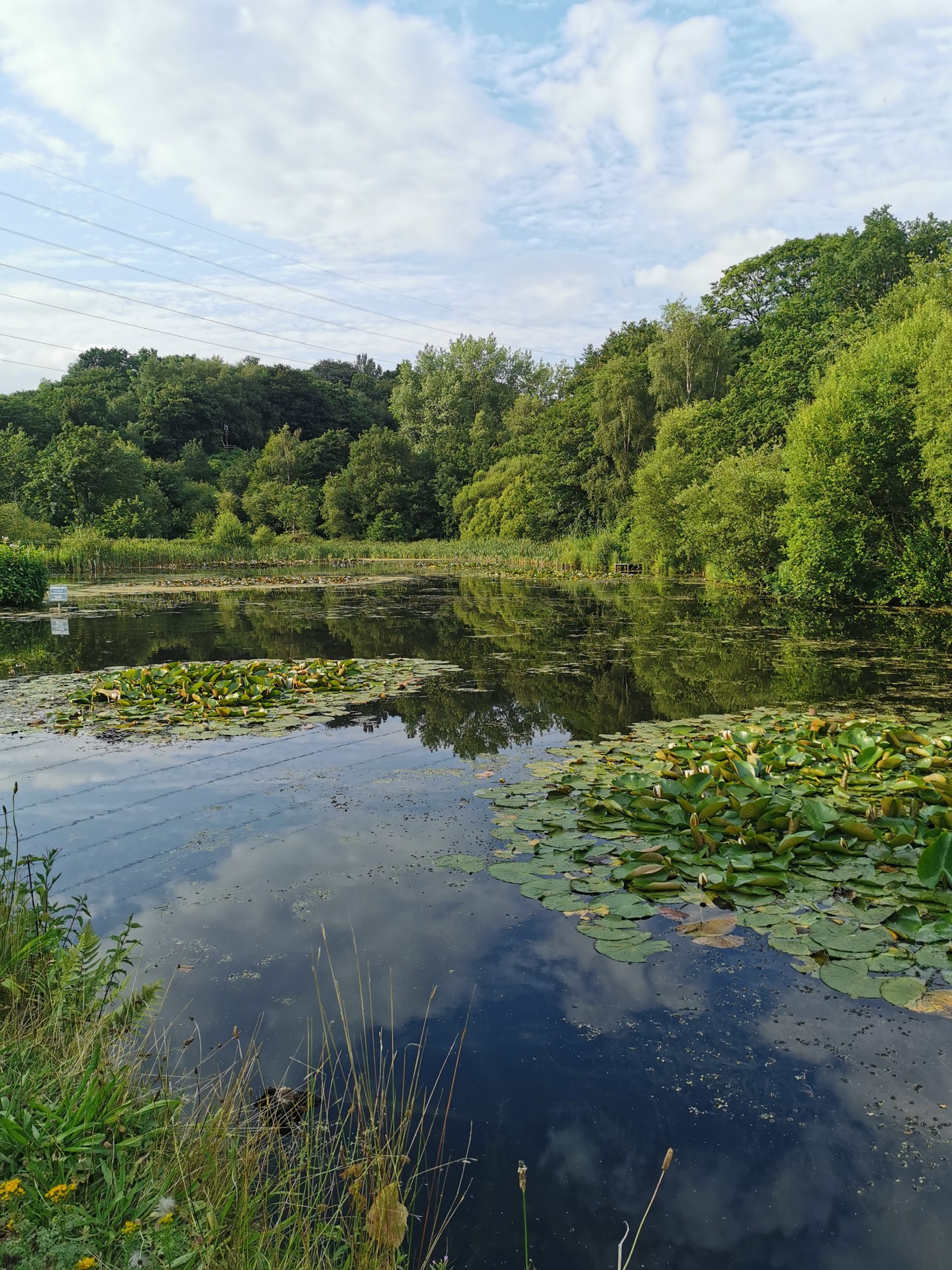 two-towns-in-greater-manchester-named-as-some-of-the-best-places-to-live