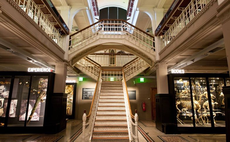 Manchester Museum to reopen next year after £15 million &#8216;transformation&#8217; project, The Manc