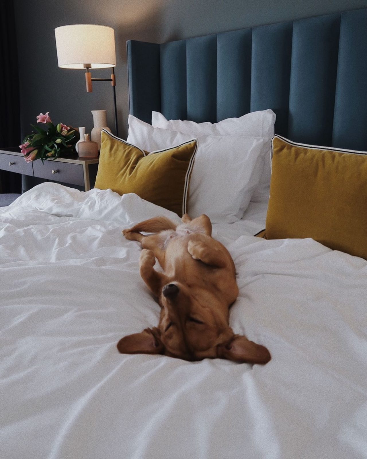 A swanky Manchester hotel is giving away hundreds of free rooms, The Manc